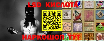 молекула духа Будённовск