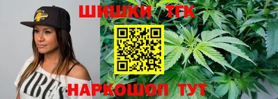 молекула духа Будённовск