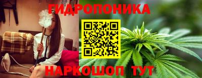 молекула духа Будённовск