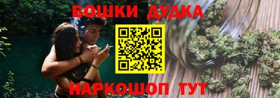 молекула духа Будённовск
