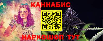 молекула духа Будённовск