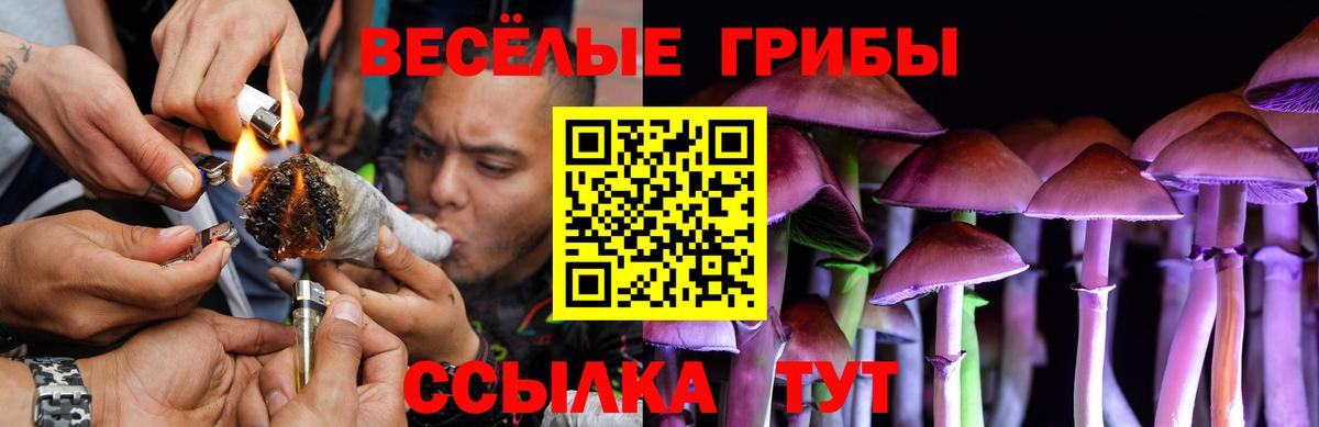 Галлюциногенные грибы MAGIC MUSHROOMS Уфа